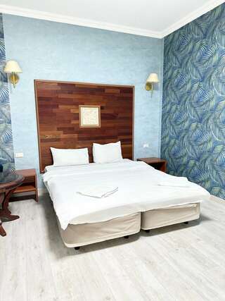 Гостиница Маликон Таганрог Большой двухместный номер с 1 кроватью-4